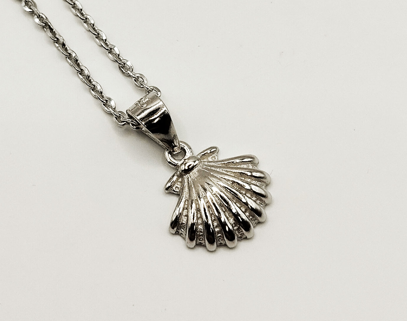 Seashell Necklace