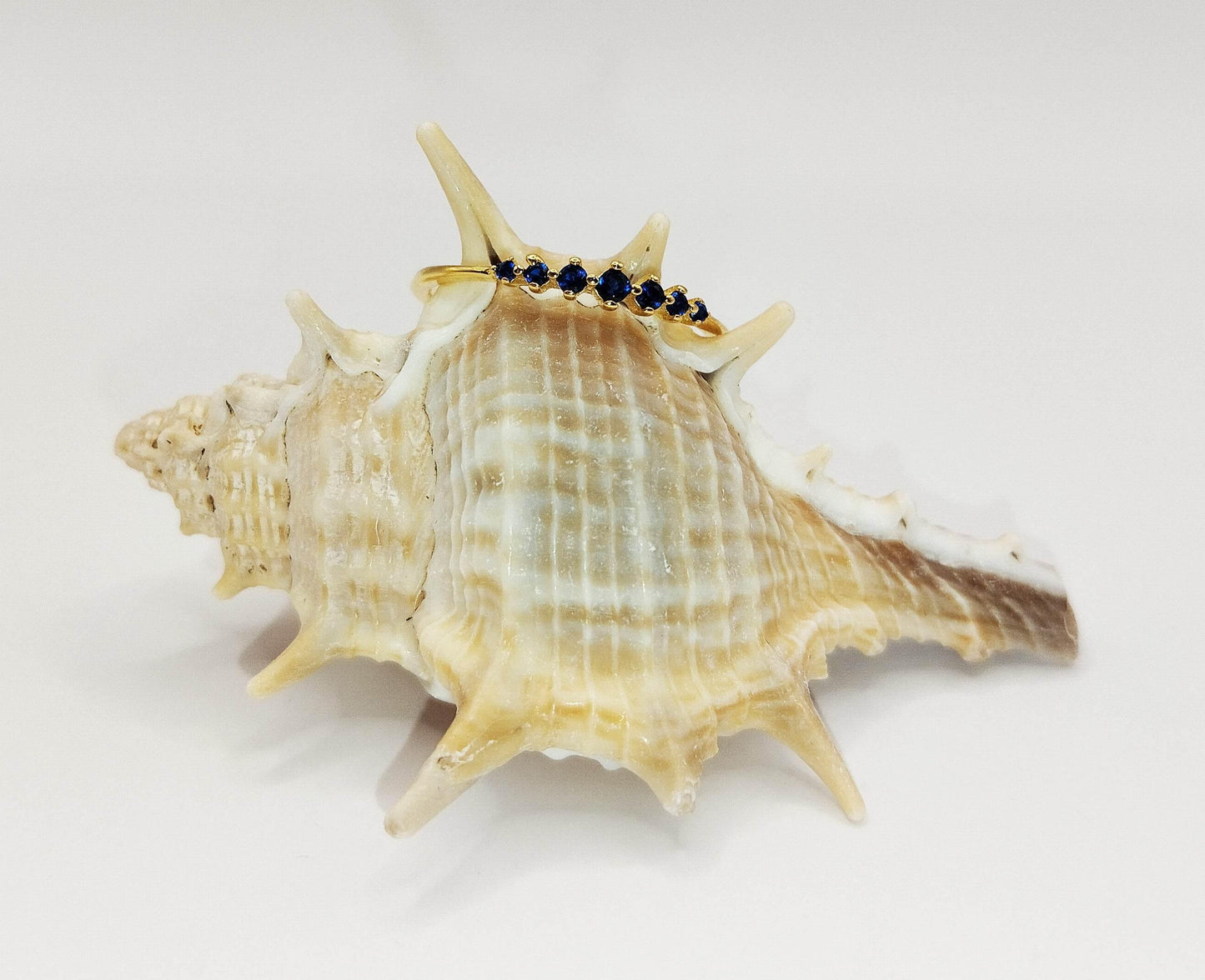 Δαχτυλίδι από επιχρυσωμένο ασήμι και μια σειρά από 7 μικρά μπλε ζιργκόν.
Διακριτικά κομψό.