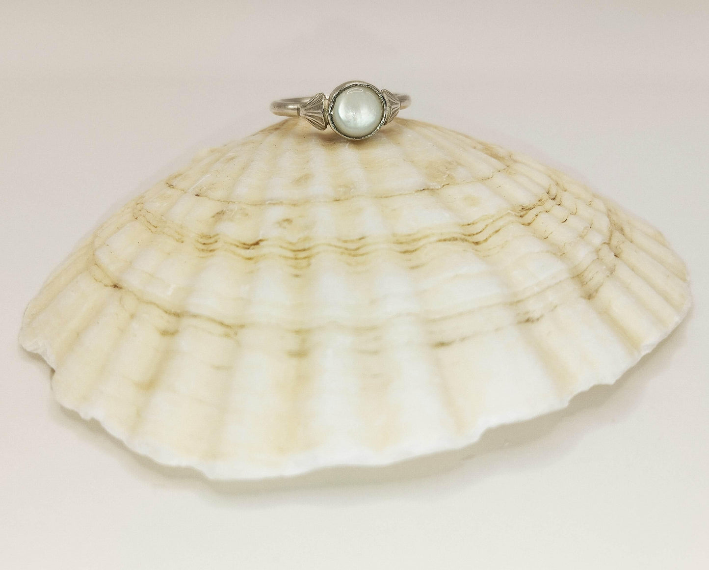 Ασημένιο δαχτυλίδι με στοιχείο από φίλντισι στο κέντρο.
Το γαλακτώδες φίλντισι έχει δύο ανάγλυφες ασημένιες αχιβάδες σε κάθε πλευρά που τονίζουν την καλοκαιρινή του ομορφιά.