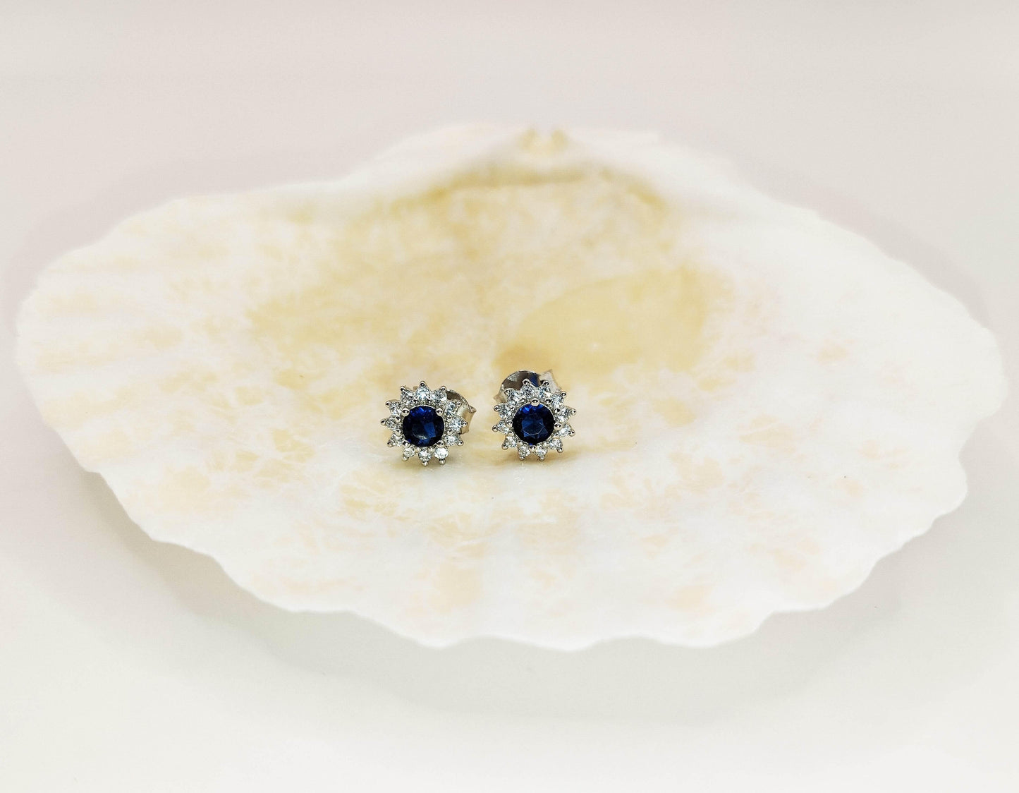 Ασημένια σκουλαρίκια καρφάκια με μπλε και λευκά ζιργκόν.
Λαμπερά και όμορφα.